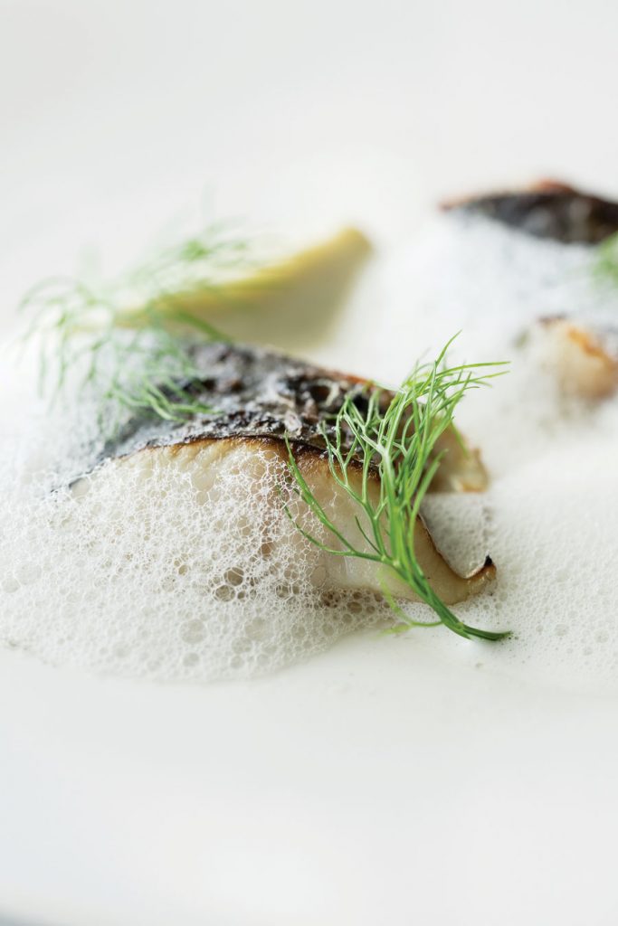 Chef-John-Vincent-Troiano
