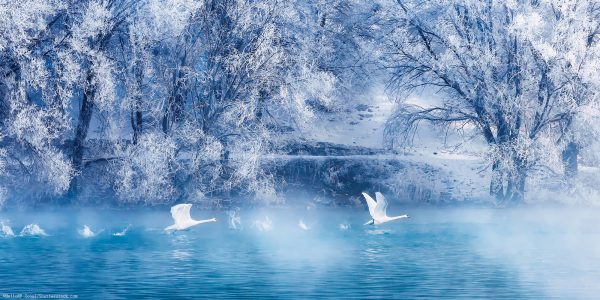 The-Solar-Terms-of-Spring-