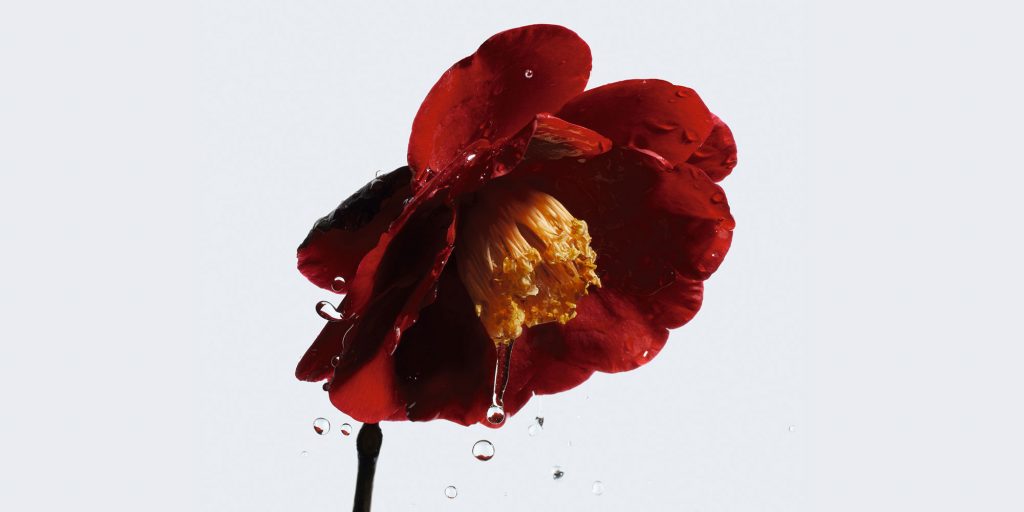 CHANEL’s-signature-flower-5