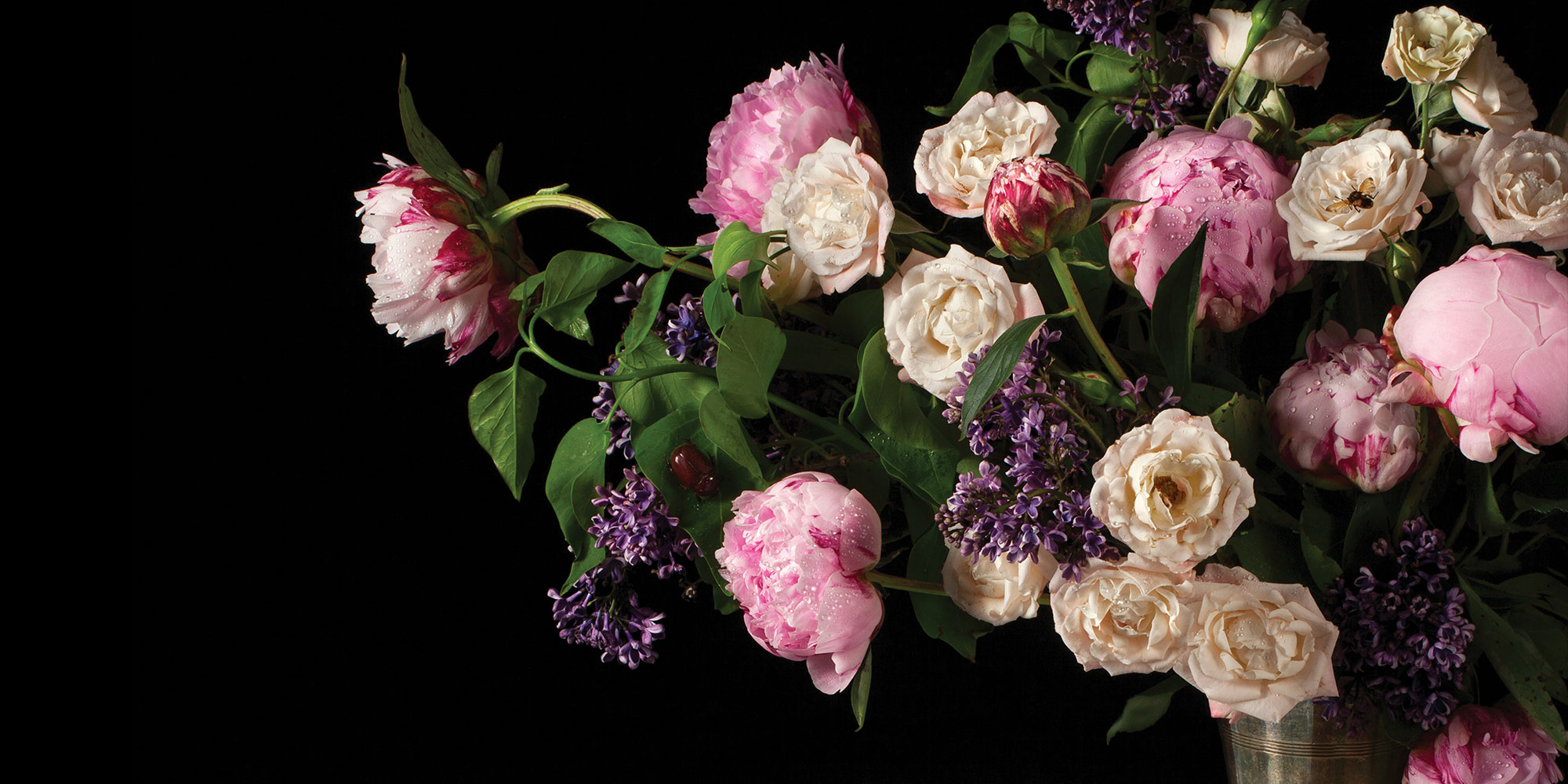 Paulette-Tavormina-photography-1-