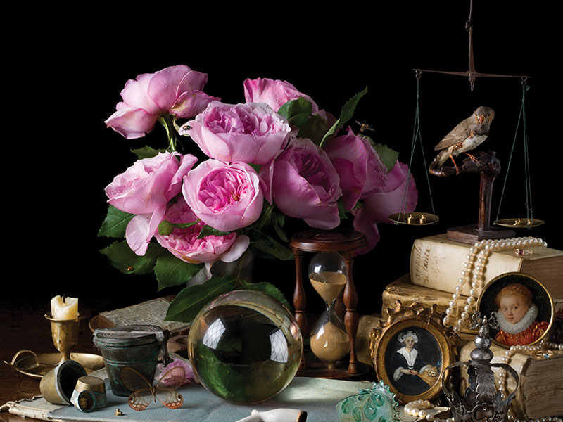 Paulette-Tavormina-photography-2-