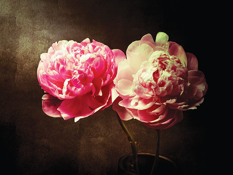 Canadian-photographer-2