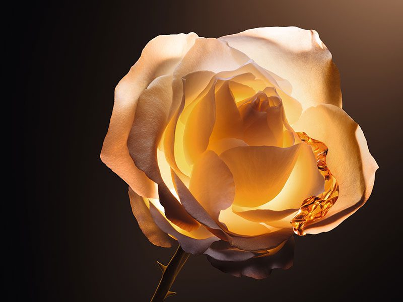 dior-prestige-serum-3