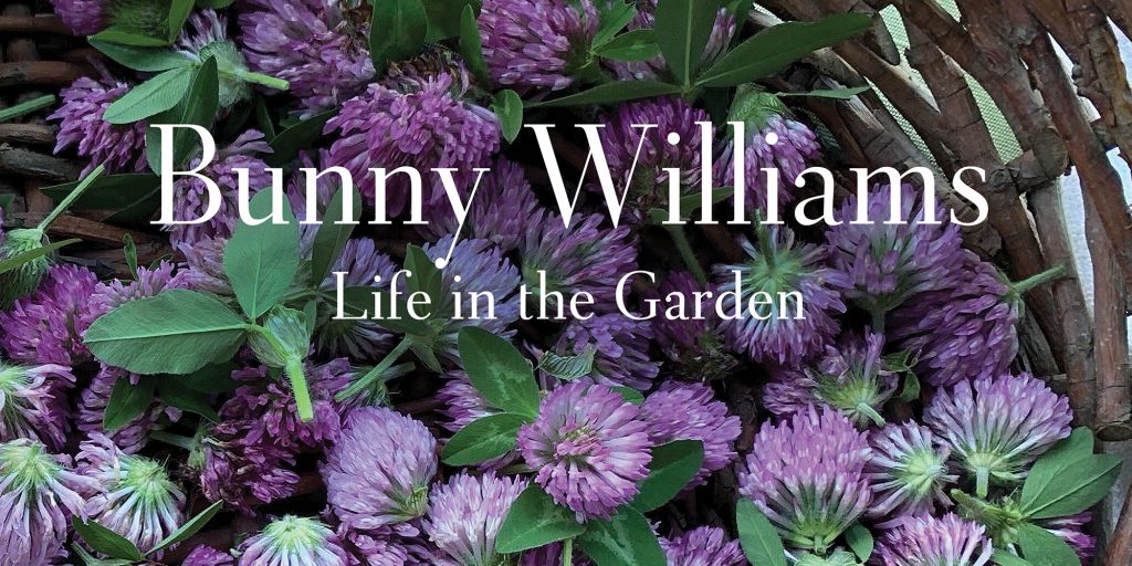 Bunny Williams 2