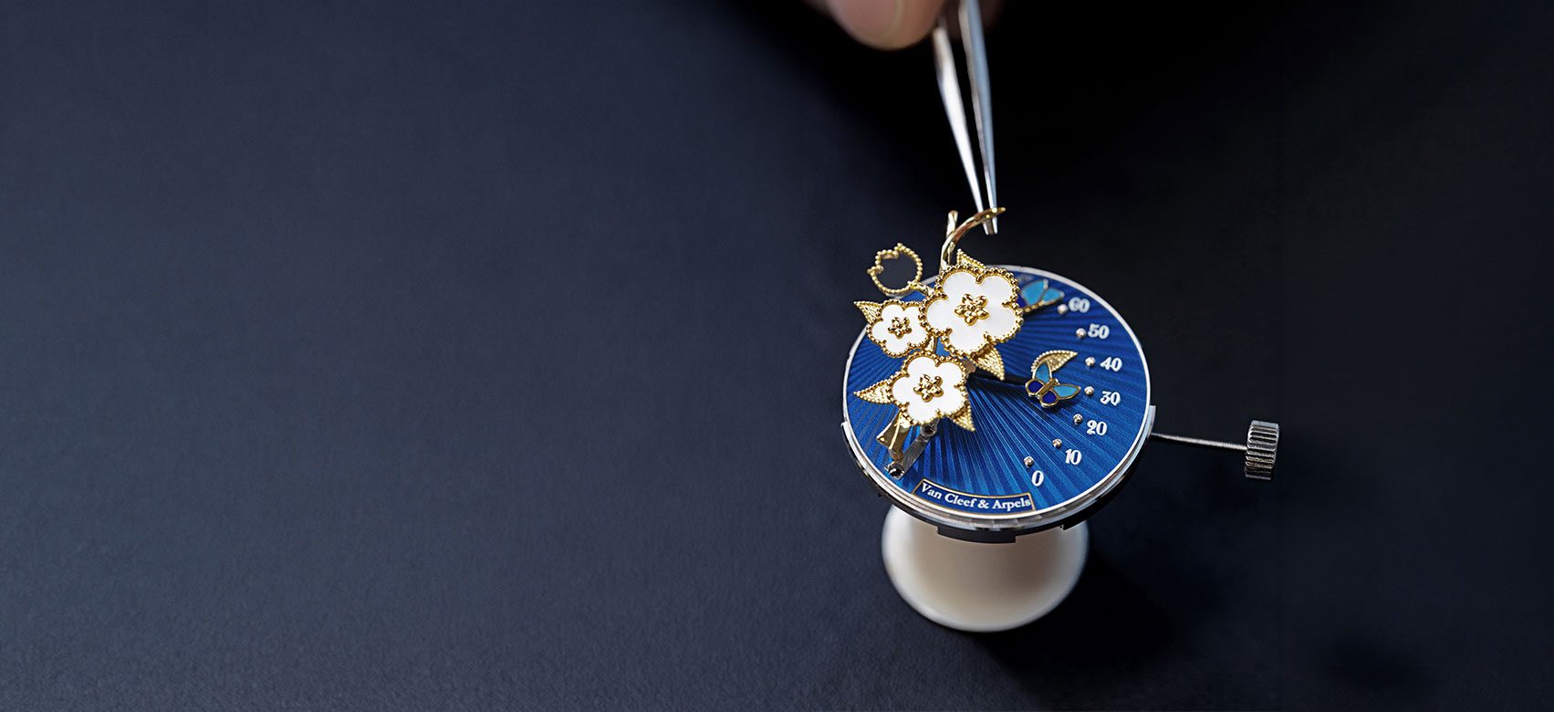 lucky-spring-butterfly-1