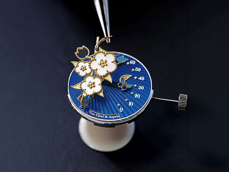 lucky-spring-butterfly-6