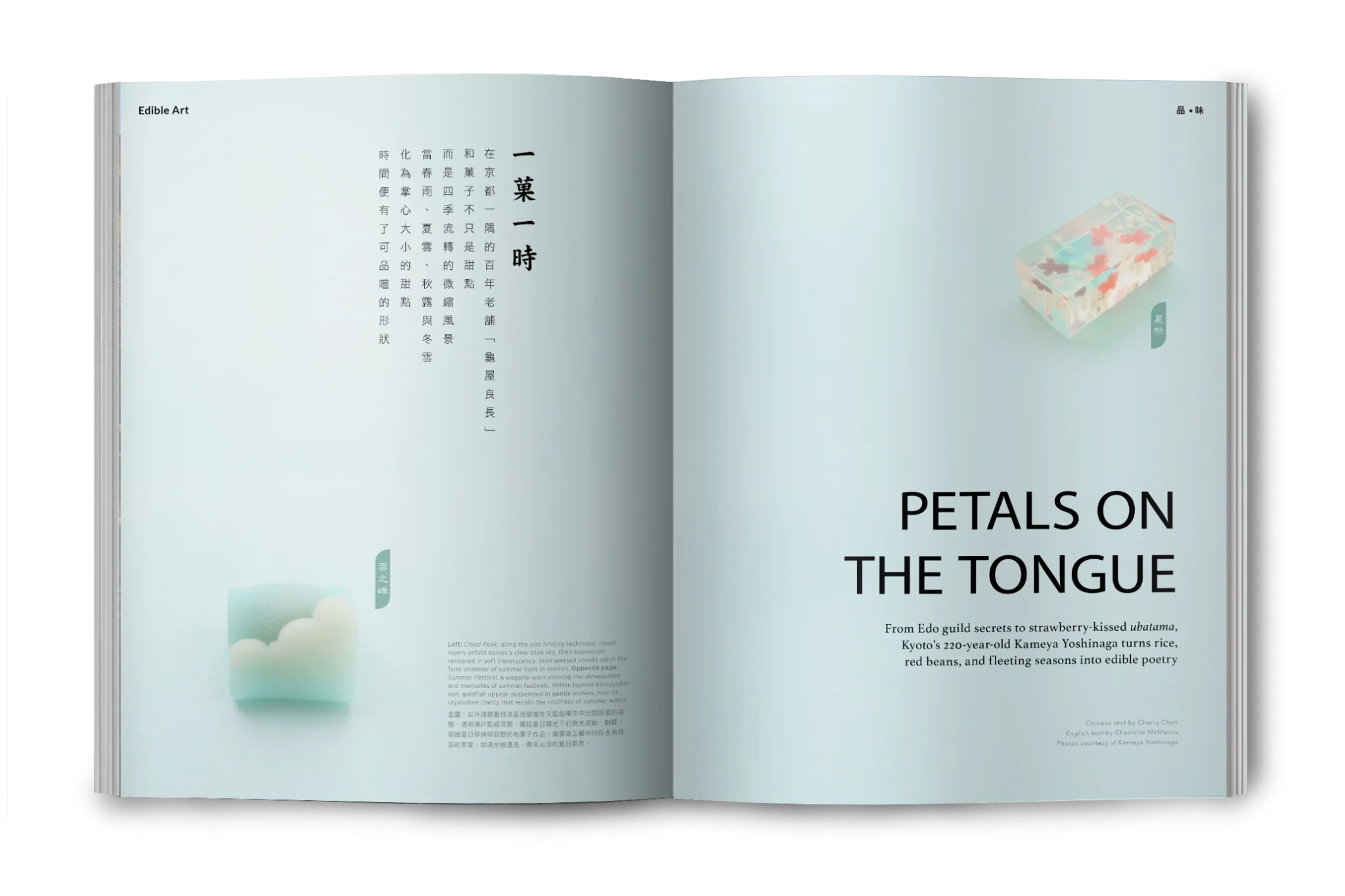 magazine-issue133