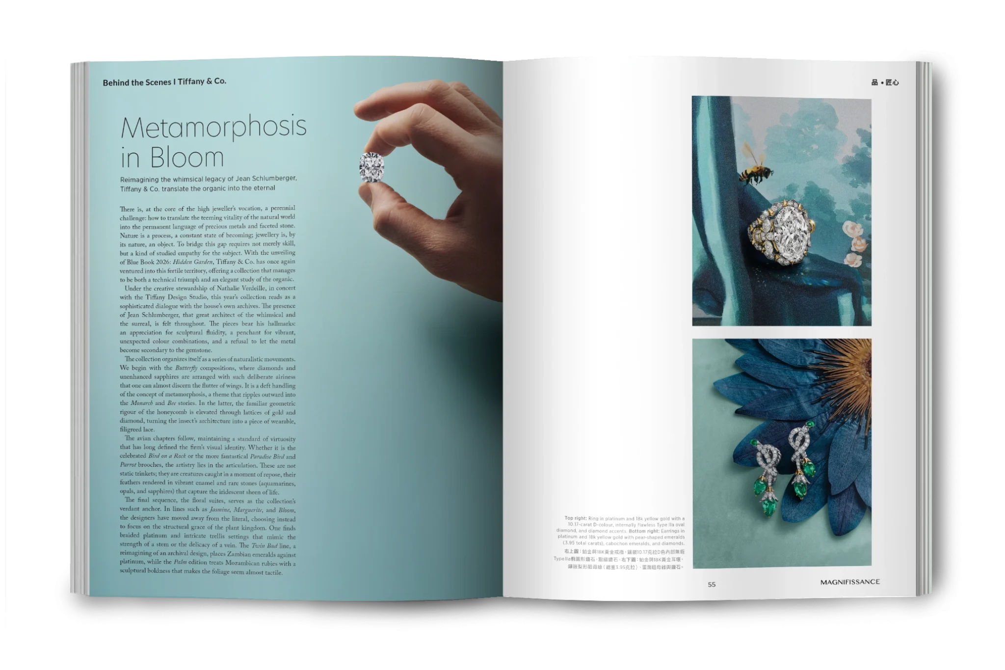magazine-issue133