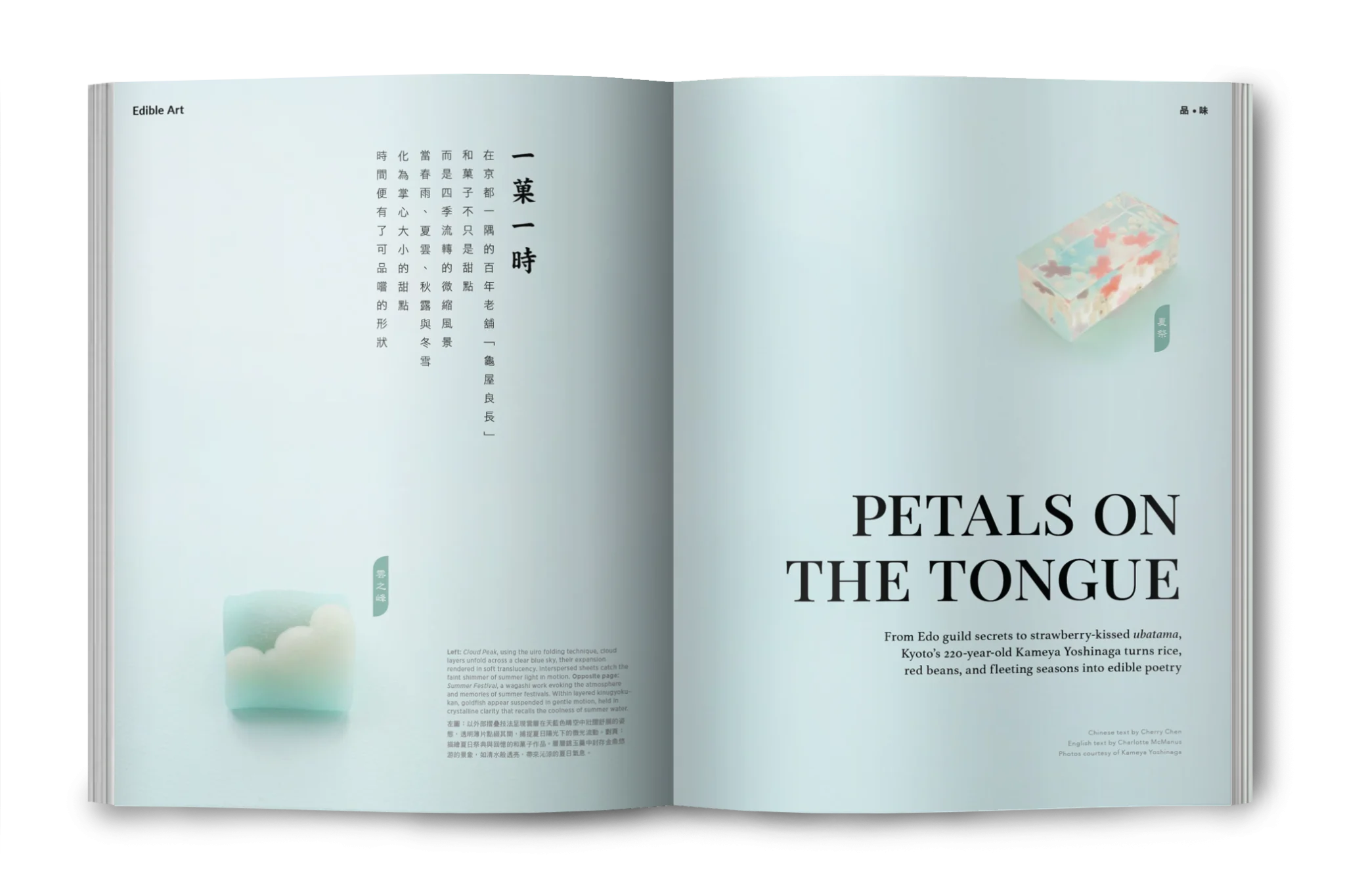 magazine-issue133