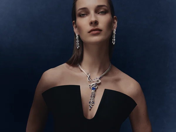 Chaumet tn